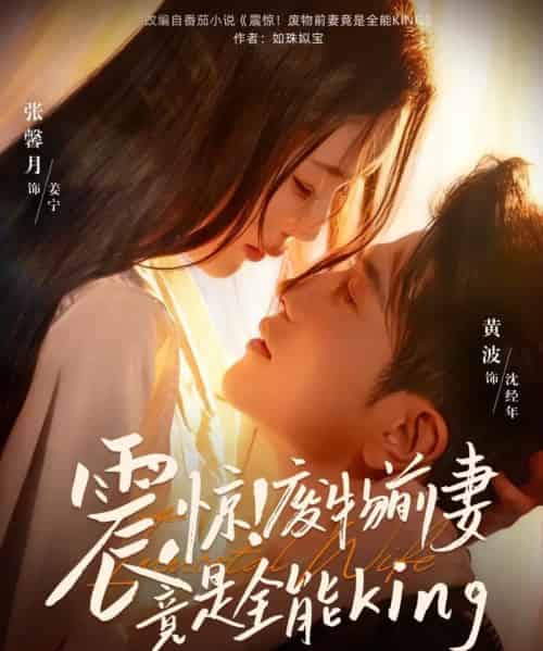 震惊！废物前妻竟是全能King（80集全）黄波＆张馨月-紫橙资源网
