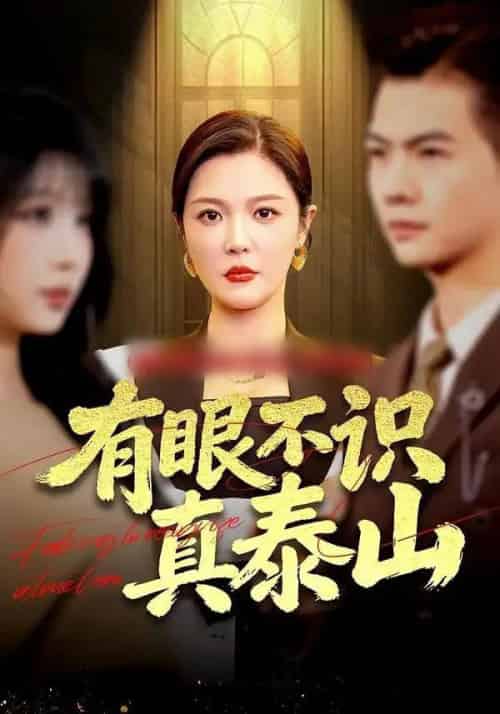 有眼不识真泰山（75集全）李明＆周霖-紫橙资源网