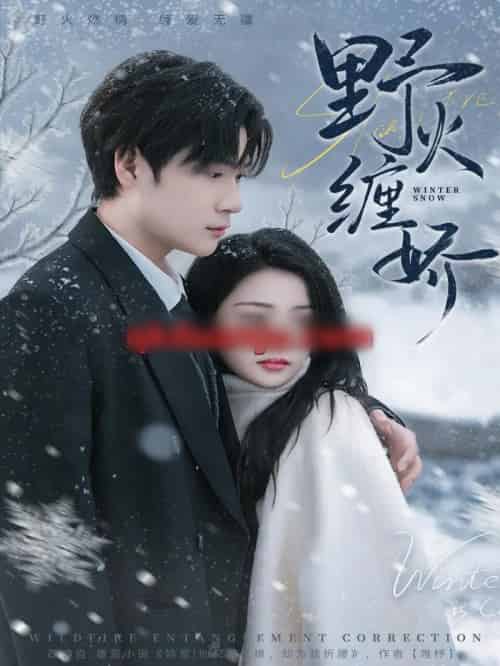 野火缠娇（66集全）胡金池＆刘苗苗-紫橙资源网