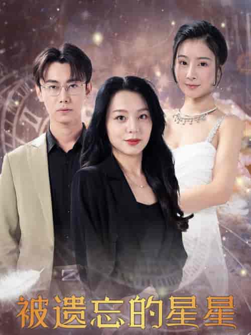 被遗忘的星星（28集全）-紫橙资源网
