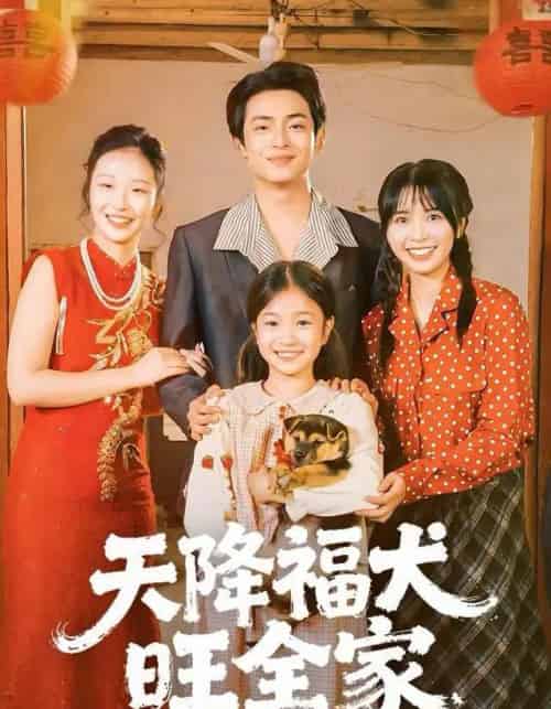 天降福犬旺全家（30集全）-紫橙资源网