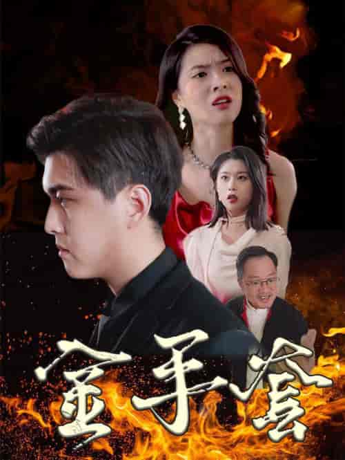 金手套（69集全）-紫橙资源网