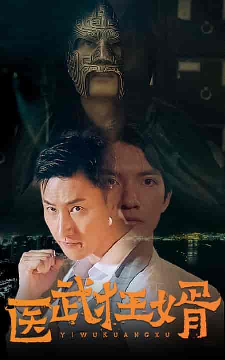 医武狂婿-85集-紫橙资源网