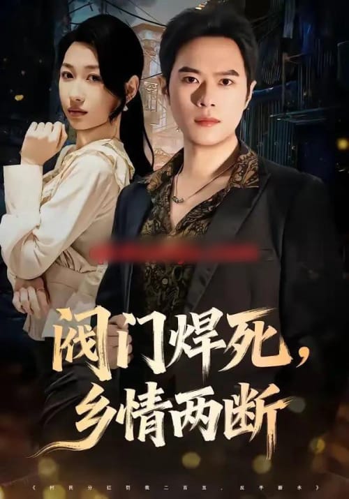 阀门焊死，乡情两断（60集全）金烁＆曲美霖-紫橙资源网