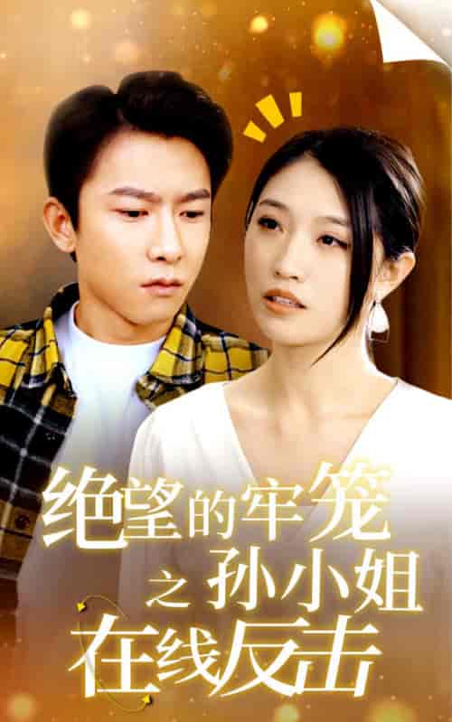 绝望的牢笼之孙小姐在线反击（92集）-紫橙资源网