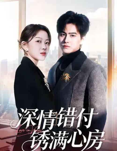 深情错付锈满心房（60集全）苏倚＆宗沐一-紫橙资源网