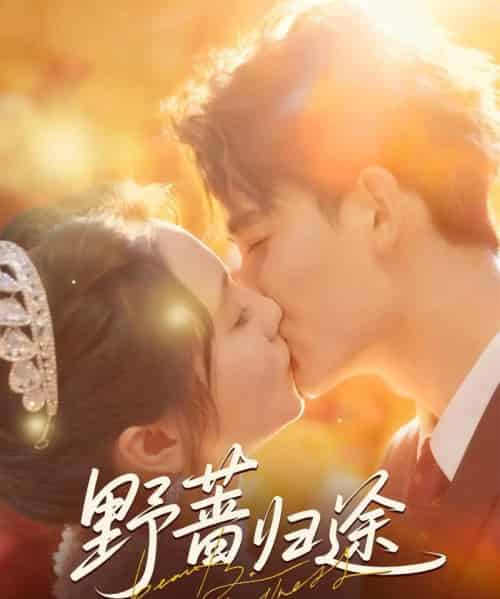 野蔷归途(80集全)李书滔&尚芸琪-紫橙资源网