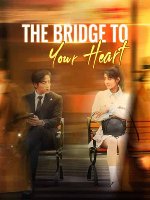 The Bridge to Your Heart（31集全）Chloe＆Ford＆＆Sean＆Lloyd-紫橙资源网