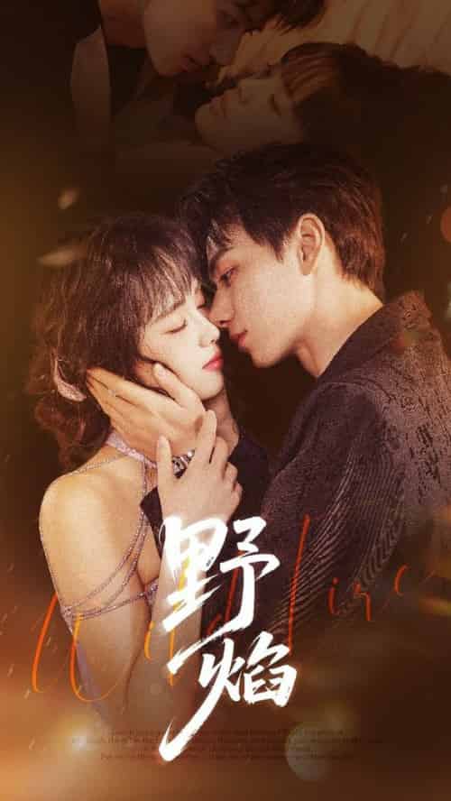 野焰 未删减版(60集全)陈政阳&郑千亦-紫橙资源网