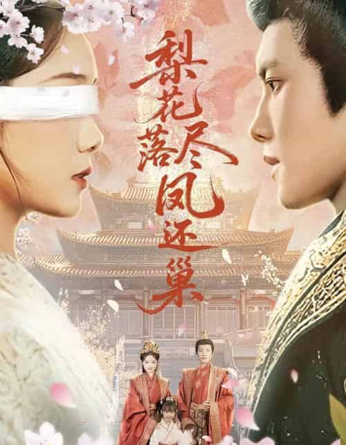 梨花落尽凤还巢（79集）-紫橙资源网