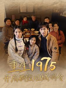 重生1975开局撕毁回城调令（83集）-紫橙资源网