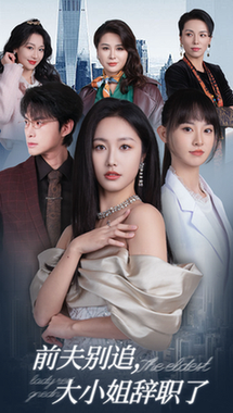 前夫别追大小姐辞职了(31集全)白雪茹-紫橙资源网