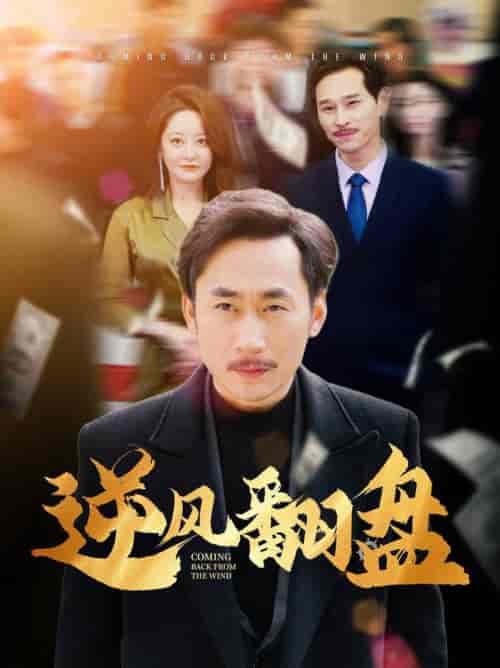 逆风翻盘（30集全）-紫橙资源网