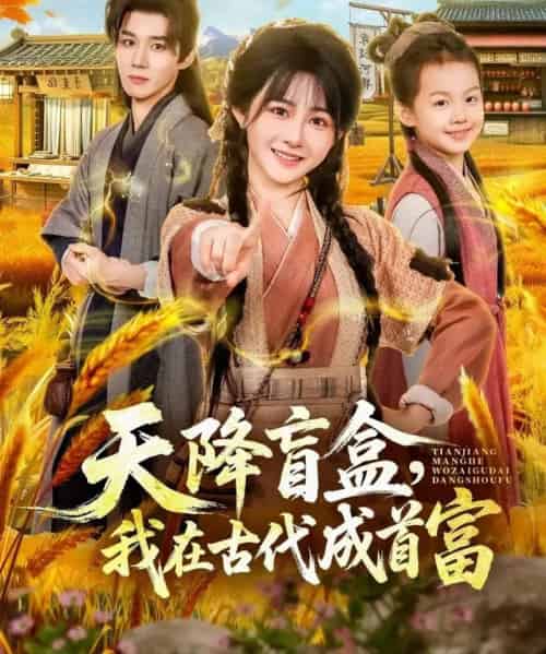 天降盲盒，我在古代成首富（80集全）耿致忻＆杨馥羽-紫橙资源网