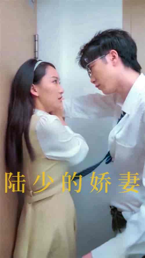 陆少的娇妻（100集全）-紫橙资源网