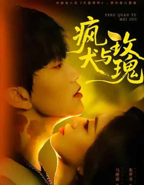 疯犬与玫瑰(80集全)马應露&张梦奇-紫橙资源网