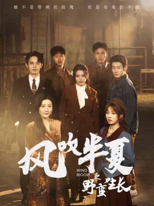 风吹半夏之野蛮生长(59集)宋暖-紫橙资源网