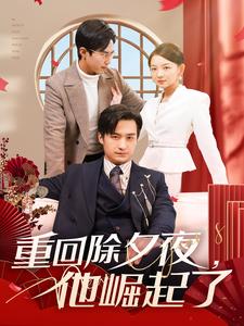 重回除夕夜他崛起了（89集）-紫橙资源网