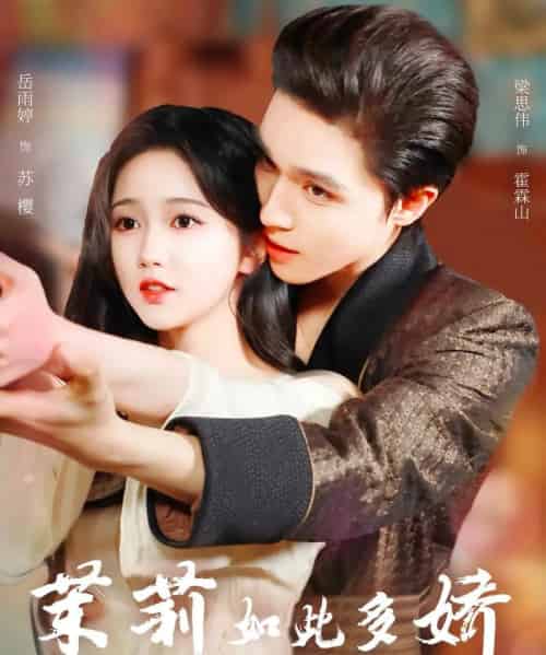 茉莉如此多娇（62集）梁思伟＆岳雨婷-紫橙资源网