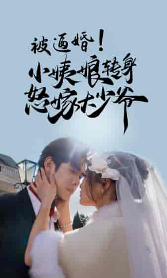 被逼婚!小姨娘转身怒嫁大少爷(72集)-紫橙资源网