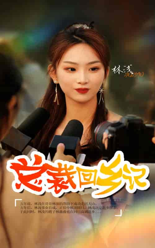 总裁回乡记（67集）-紫橙资源网