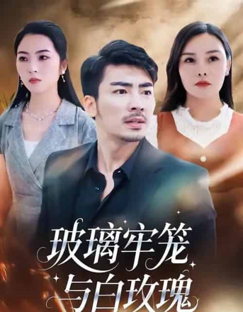 玻璃牢笼与白玫瑰(75集全)张瀚文(男)&郑曦月-紫橙资源网