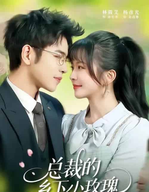 总裁的乡下小玫瑰(102集全)杨彦光&林筱艾-紫橙资源网