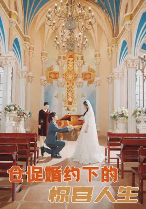 仓促婚约下的惊喜人生（99集全）顾明修＆舒欣-紫橙资源网