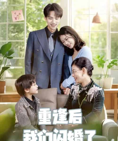 重逢后我们闪婚了(35集)李永臻&黄柳月-紫橙资源网