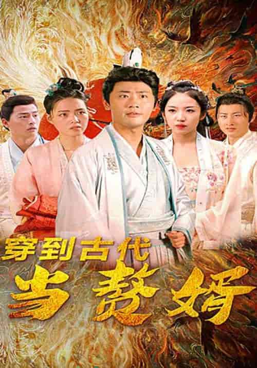 穿到古代当赘婿（96集全）赵衡＆楚楚-紫橙资源网
