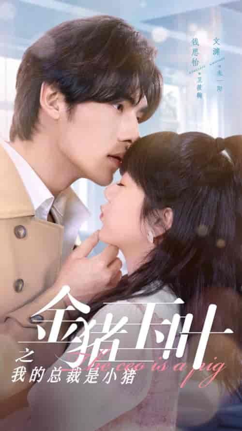 金猪玉叶之我的总裁是小猪（80集）-紫橙资源网
