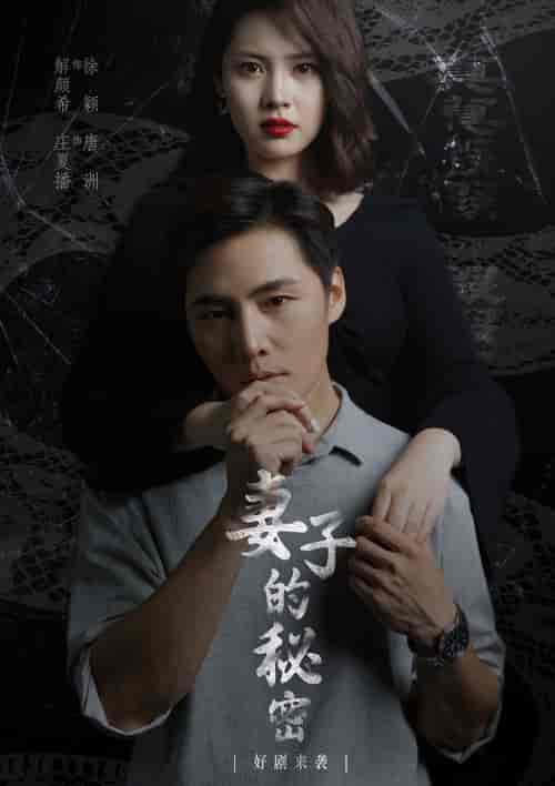 妻子的秘密（30集） - 紫橙短剧