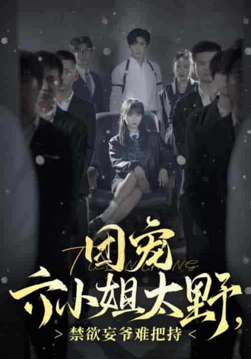 团宠六小姐太野，禁欲妄爷难把持（90集全）秦无妄＆叶笙-紫橙资源网