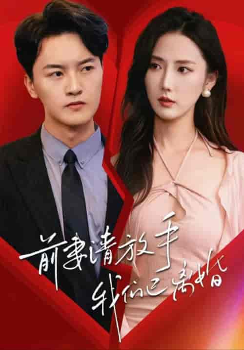 前妻请放手，我们已离婚（86集全）插边剧-紫橙资源网