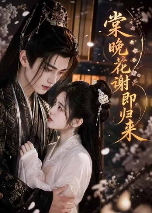 棠晚花谢即归来（61集全）AI-紫橙资源网