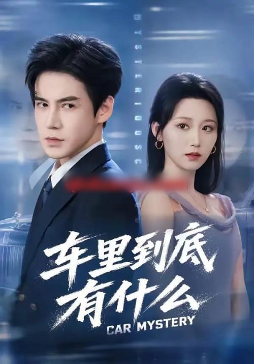 车里到底有什么（51集全）李子锋＆林千仟-紫橙资源网