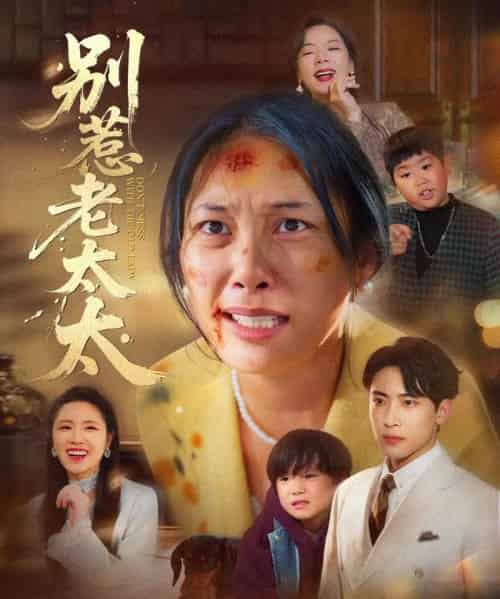 别惹老太太＆谁说她没人撑腰（68集全）陈柯宇＆赵丹 - 紫橙短剧