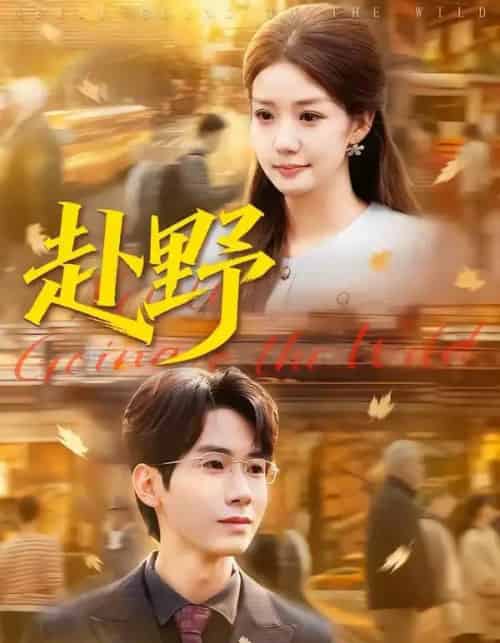 赴野（40集全）宜樊＆丁珂丹-紫橙资源网