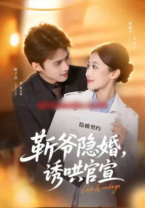 斩爷隐婚，诱哄官宣（80集全）陈子昂＆杨丽平-紫橙资源网