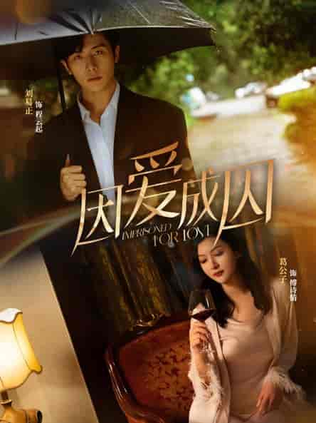 因爱成囚(30集)-紫橙资源网