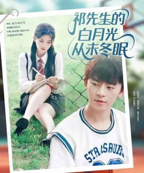 祁先生的白月光从未冬眠(80集)周体顺&潘慧敏-紫橙资源网