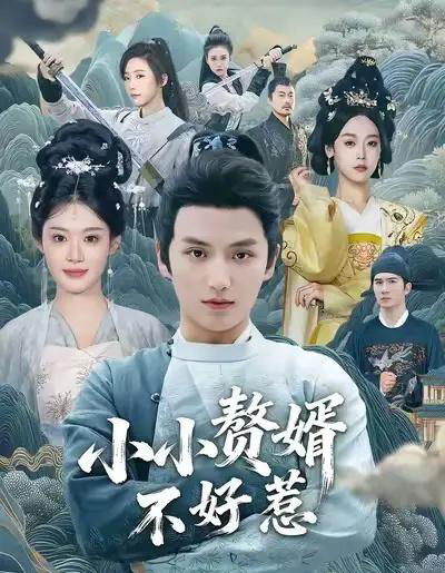 小小赘婿不好惹（64集全）徐凯鑫＆方梨-紫橙资源网
