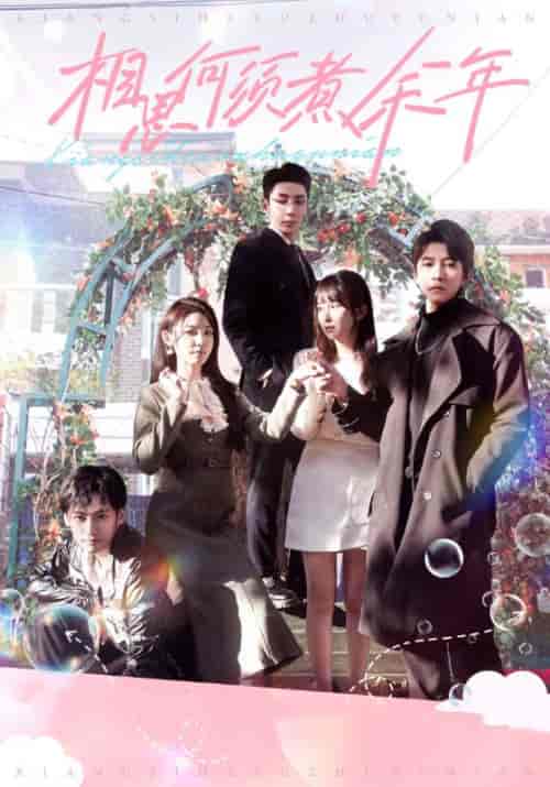 相思何须煮余年（33集全）顾辞澜＆宋时微-紫橙资源网