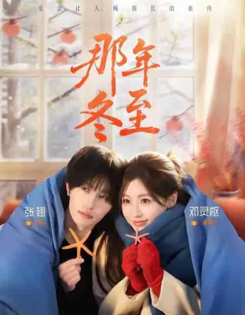 那年冬至(81集全)张翅&邓灵枢-紫橙资源网