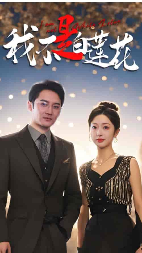 我不是白莲花（78集全）邹佳欣-紫橙资源网