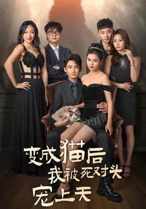 变成猫后被死对头宠上天（86集全）南宫廷逸＆宁萌-紫橙资源网