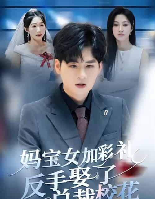 妈宝女加彩礼反手娶了总裁校花（81集全）韩非儿＆毛家和-紫橙资源网