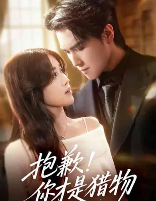 抱歉！你才是猎物（80集全）晓杨＆金汐-紫橙资源网