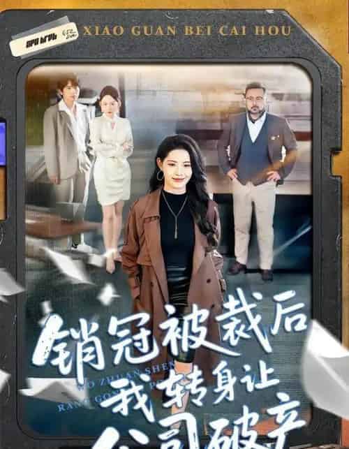 销冠被裁后我转身让公司破产（101集全）亦程＆董洁-紫橙资源网