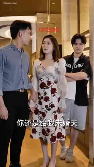 护花强龙（90集） - 紫橙短剧